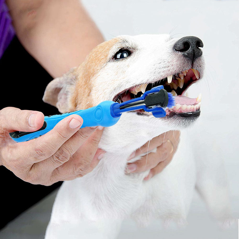 Cepillo de Dientes para Higinene Oral de Mascotas