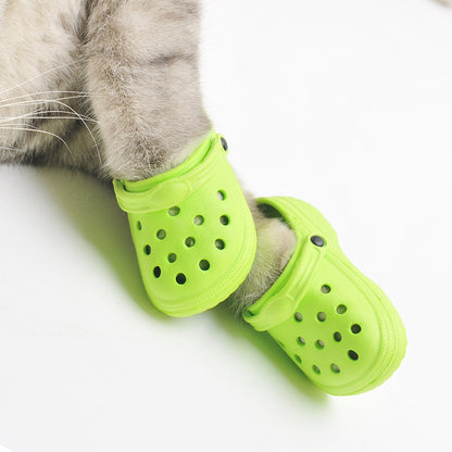 Zapatos para gatos a la moda con personalidad