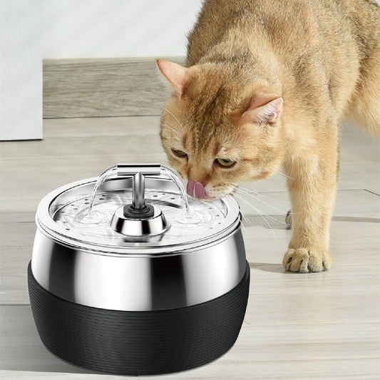 Dispensador seguro de agua para gatos