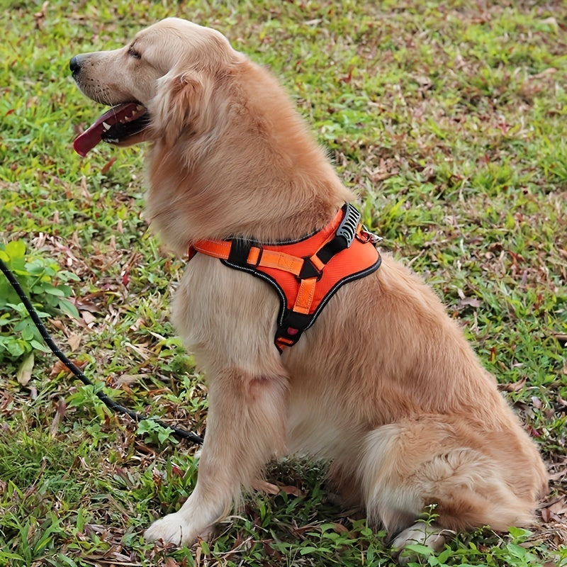 Árnes para correas de perro de alta calidad anti-explosiones.