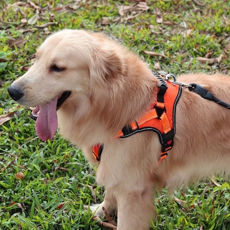 Árnes para correas de perro de alta calidad anti-explosiones.